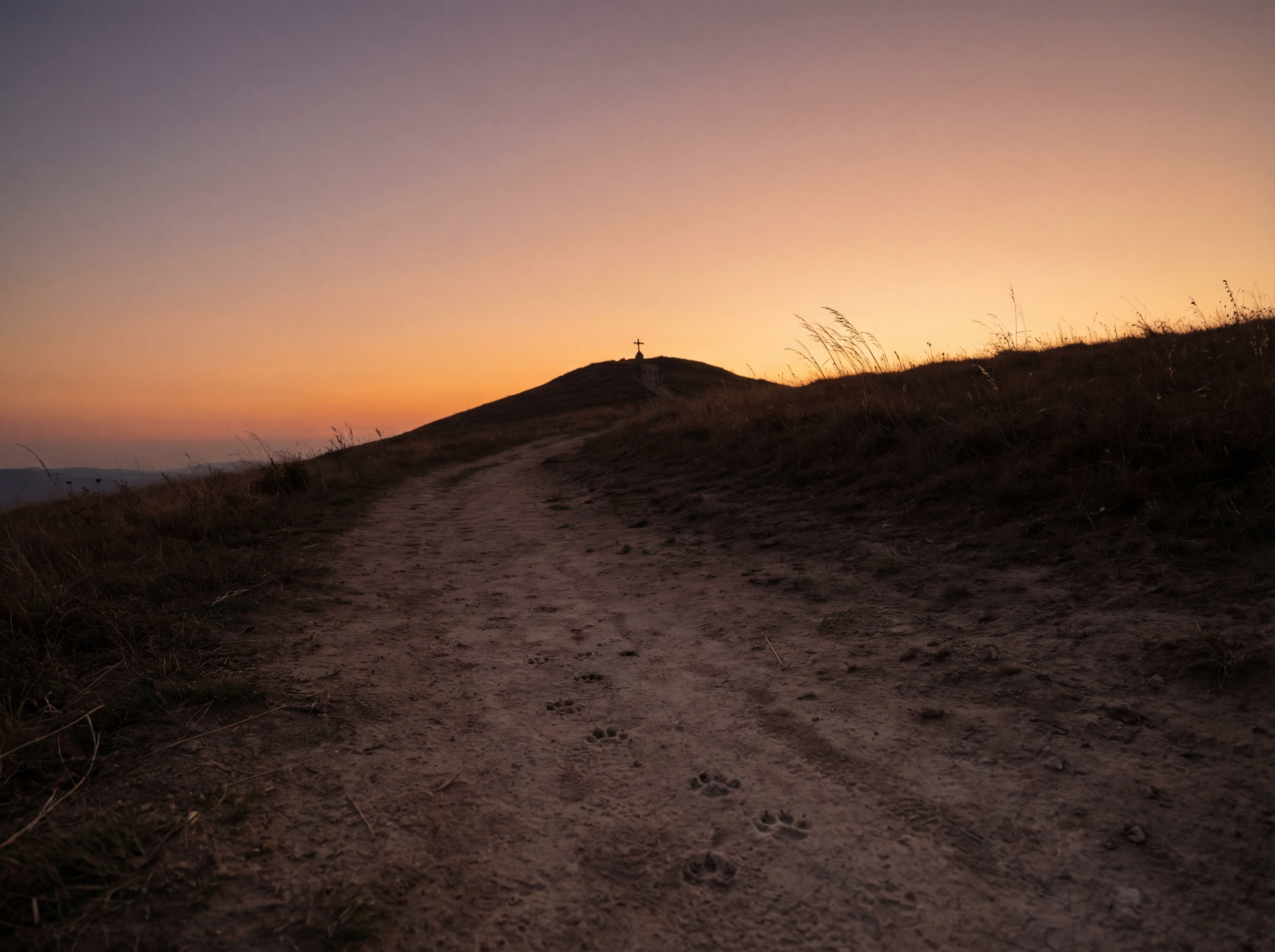 A dirt path with cat paw prints leading up to an empty ridge at sunset, the last light fading
